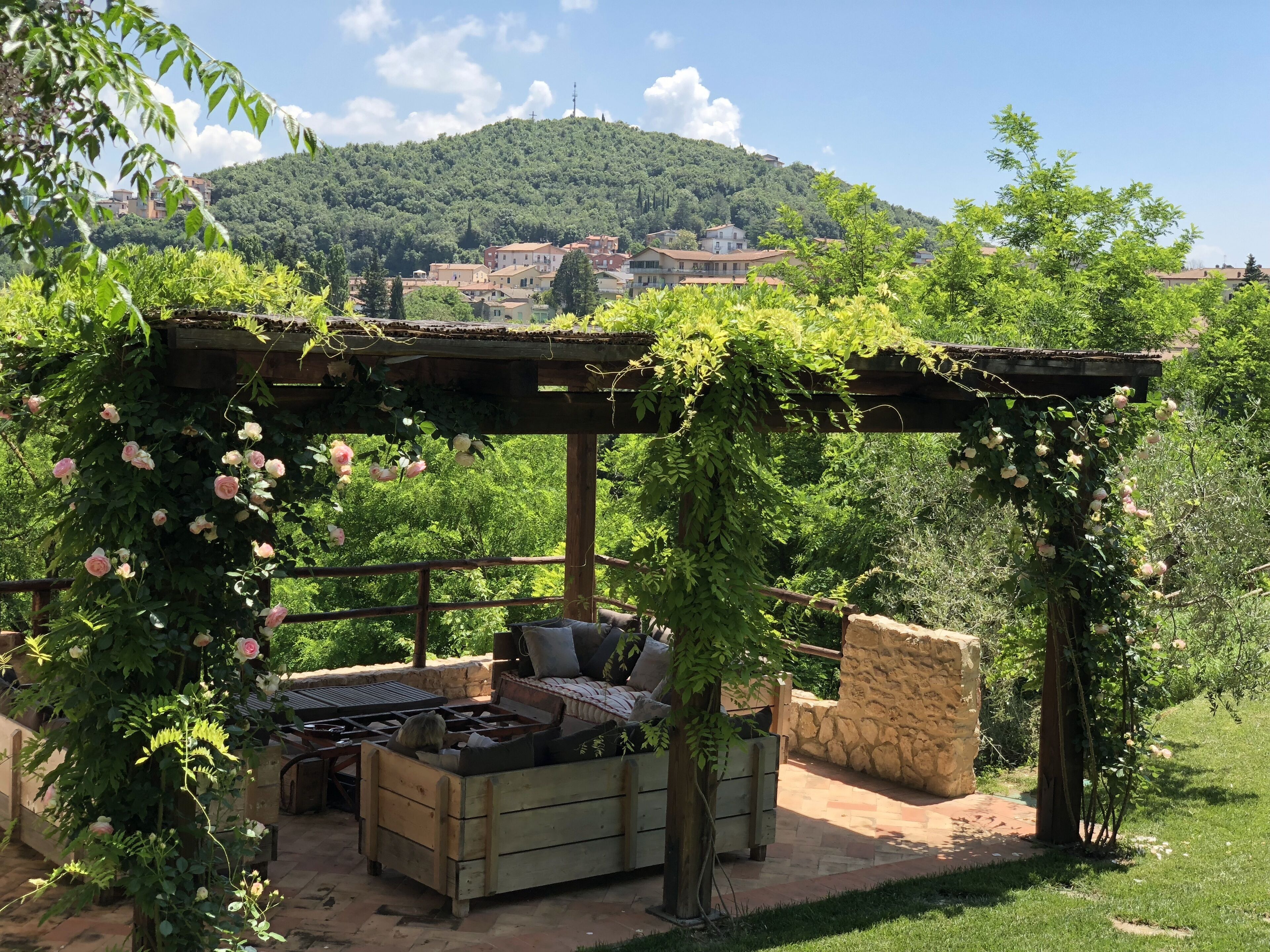 テラス / パティオ