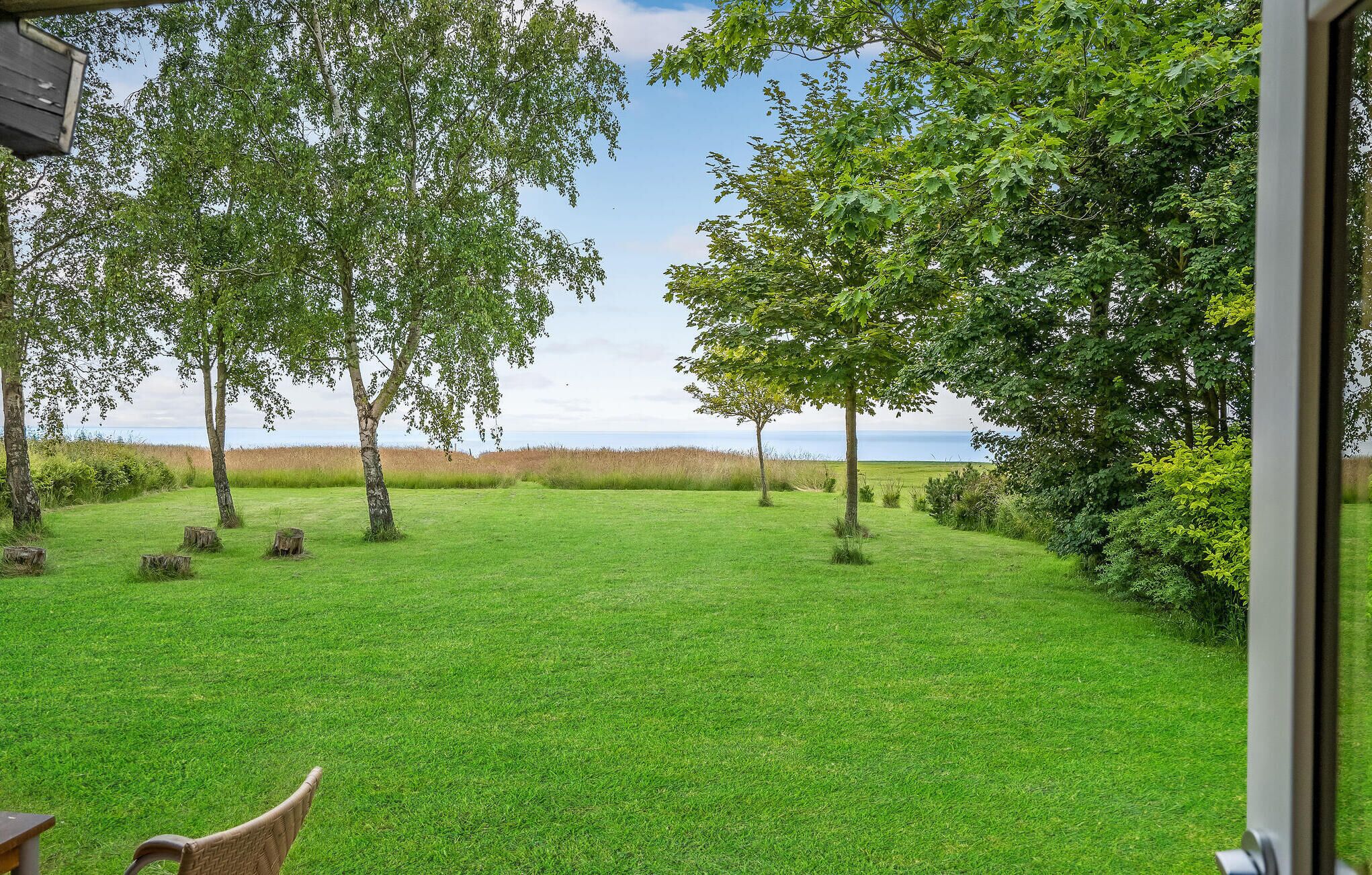 Blick auf eine grüne Wiese mit Bäumen und einem Gewässer in der Ferne.