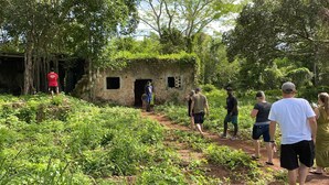 A rustic stone building with a thatched roof, surrounded by lush greenery and a dirt path. - Cenote Pueblo Fantasma (Chemax)