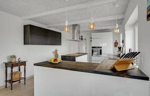 Fridge, stovetop, dishwasher, coffee/tea maker
