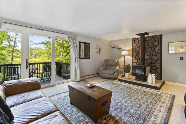 Smart TV, chimenea, libros