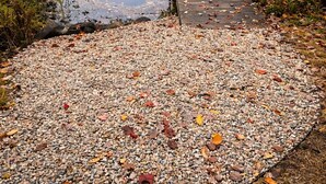 Eine hölzerne Mole, die sich in einen ruhigen See erstreckt, umgeben von Herbstlaub und Kies.