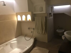 シャワー、ビデ