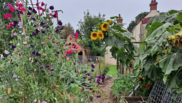 Property grounds - Cosy Rustic 1-bed Cottage on Farm Haverfordwest (Haverfordwest)
