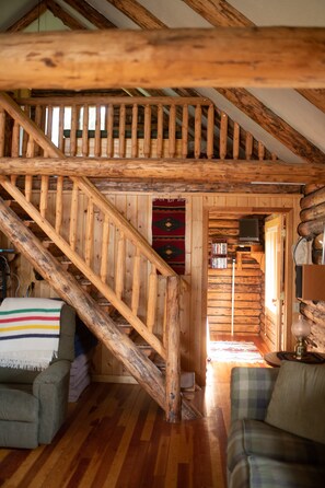 Books, stereo - WILD HORSE ISLAND! (Big Arm)