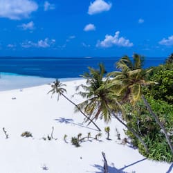 On the beach, snorkelling, fishing