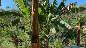 Een houten sculptuur met een zeshoekige basis, omringd door grind en diverse planten, waaronder bananenbomen.