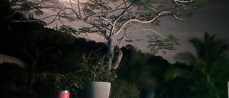 室外游泳池
