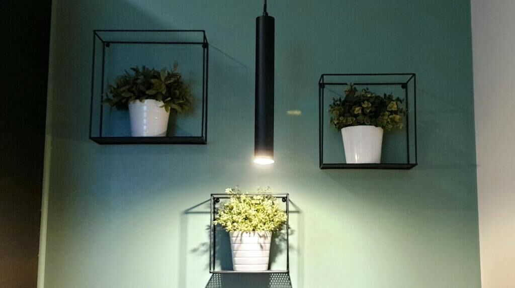 Three wall-mounted planters with plants against a teal wall.
