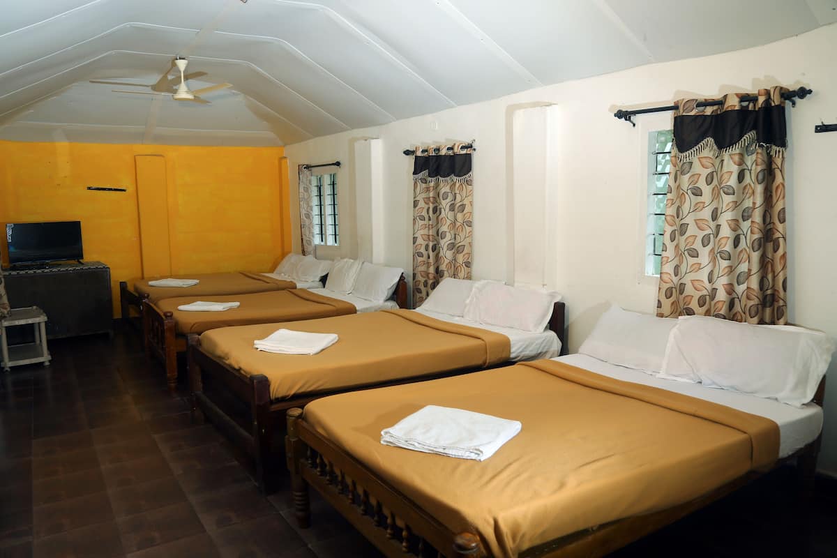 Desk, free WiFi, bed sheets