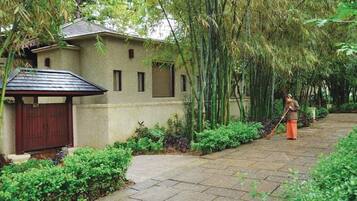 A house with a covered porch, surrounded by lush greenery and bamboo.