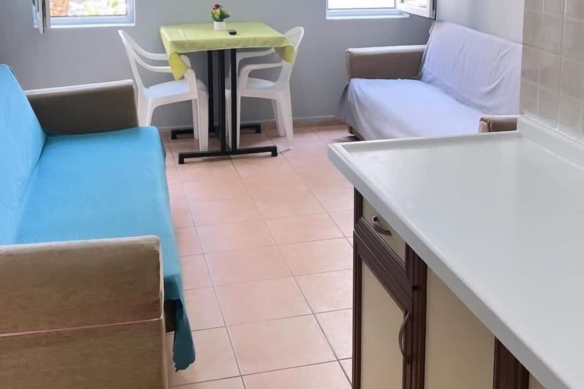 A compact living space with a kitchenette, a dining area, and a sofa.