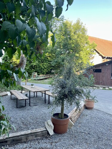 Charmante Wohnung Elvis in der Ferienscheune "Alte Ölmühle"