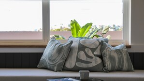 Assento junto à janela com uma planta, uma revista e uma caneca.