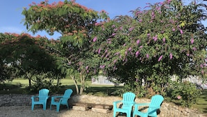 Eine Terrasse mit vier türkisfarbenen Adirondack-Stühlen, einer Steinmauer und einem Baum mit violetten Blüten.