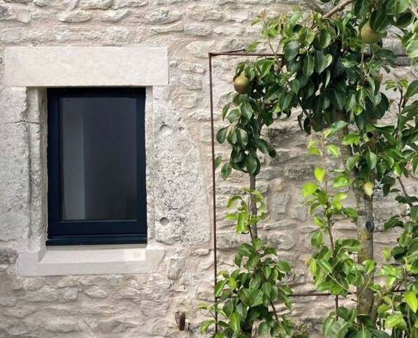 DĂ©tail de lâextĂ©rieur