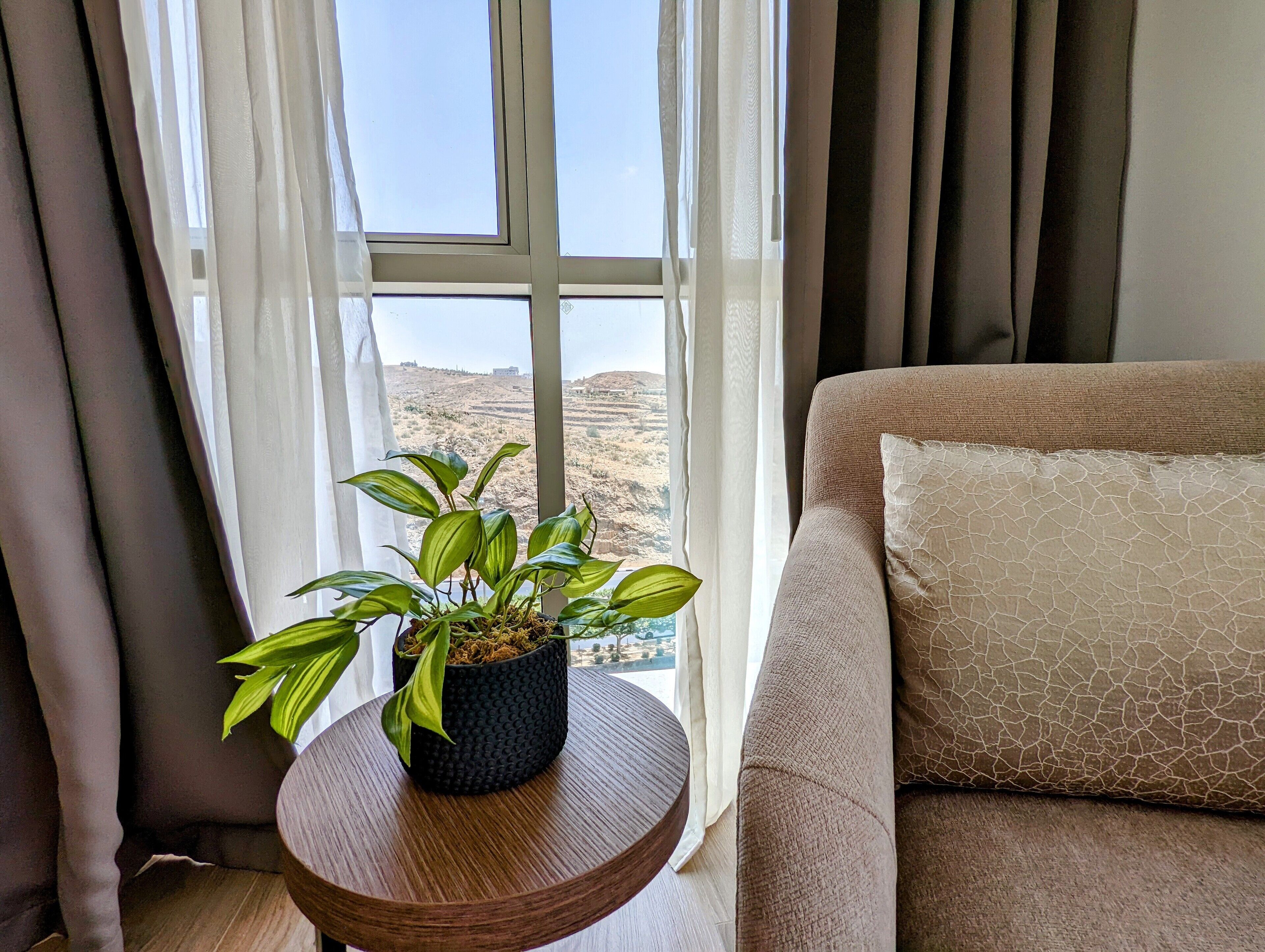 A room with a view of a hilly landscape through a window, a round wooden table with a potted plant, and a beige sofa with a textured pillow.