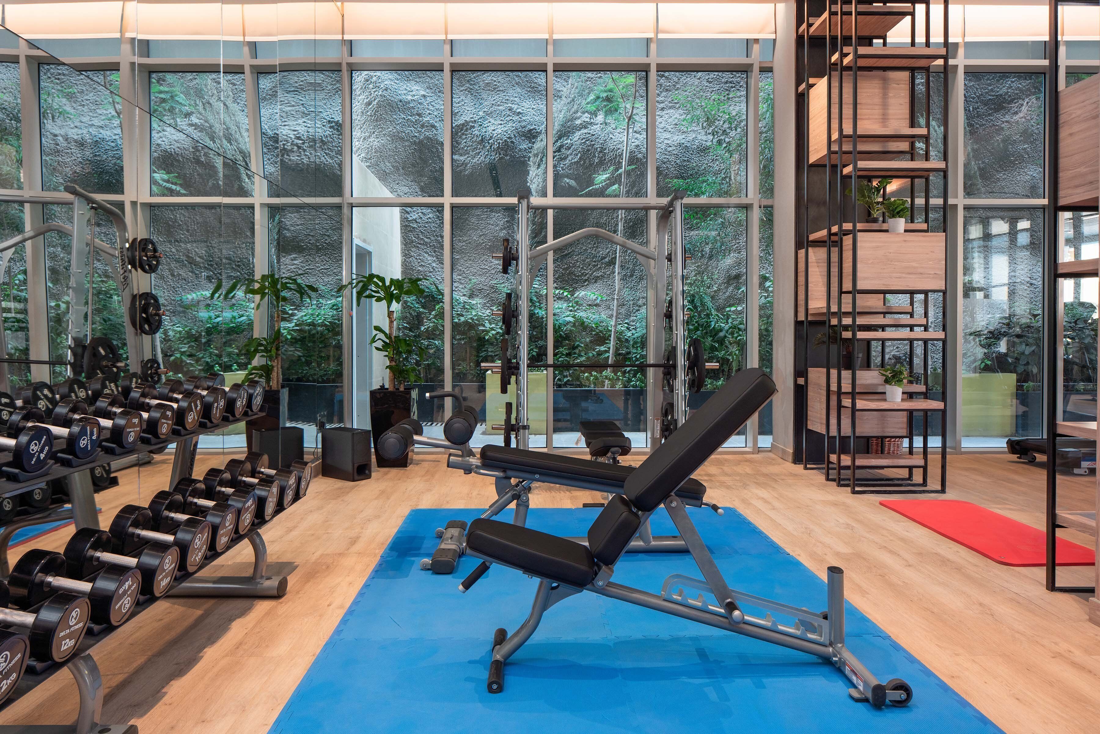Un gimnasio con equipo de levantamiento de pesas, una prensa de banca y amplias ventanas con vistas a un área boscosa.