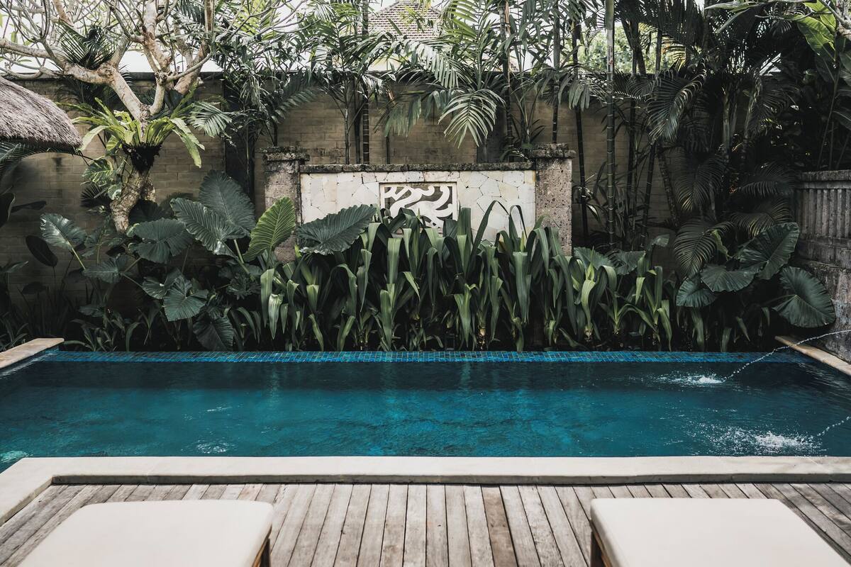 A swimming pool with a wooden deck and lounge chairs, surrounded by lush tropical plants and a stone wall.