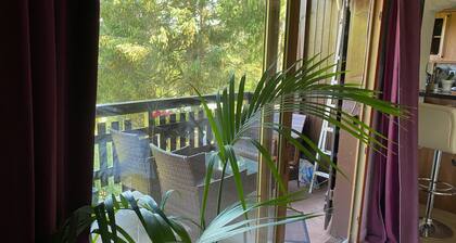 Chalet Ă  800 m Ă  30 mn d'Annecy, de GenĂšve et Ă  45 mn du massif du Jura.