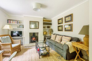 Smart TV, chimenea y libros 