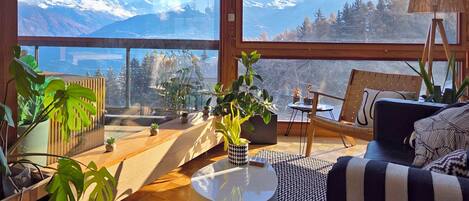 TV connectée, cheminée, console de jeux vidéo, livres