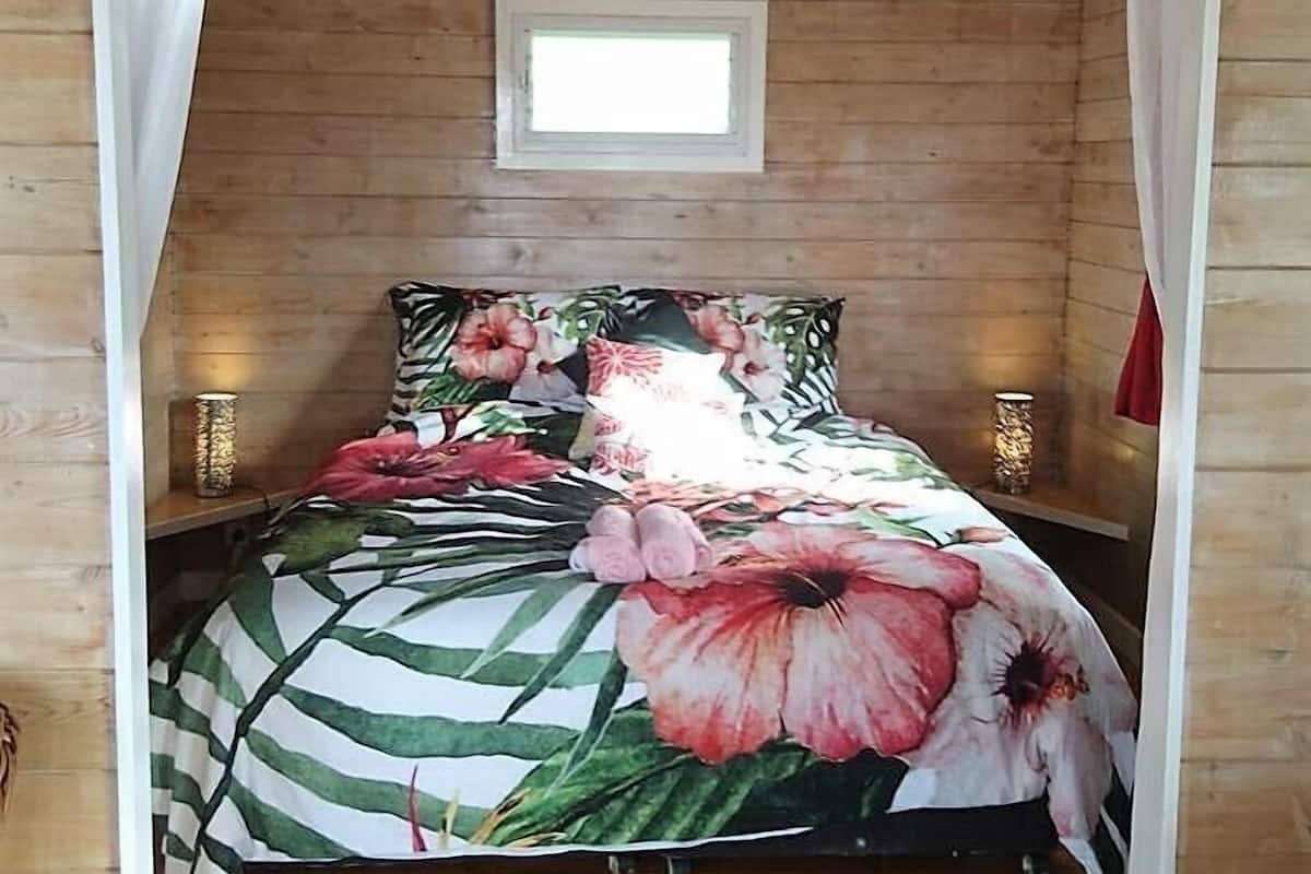 Red Hibiscus Villa 1