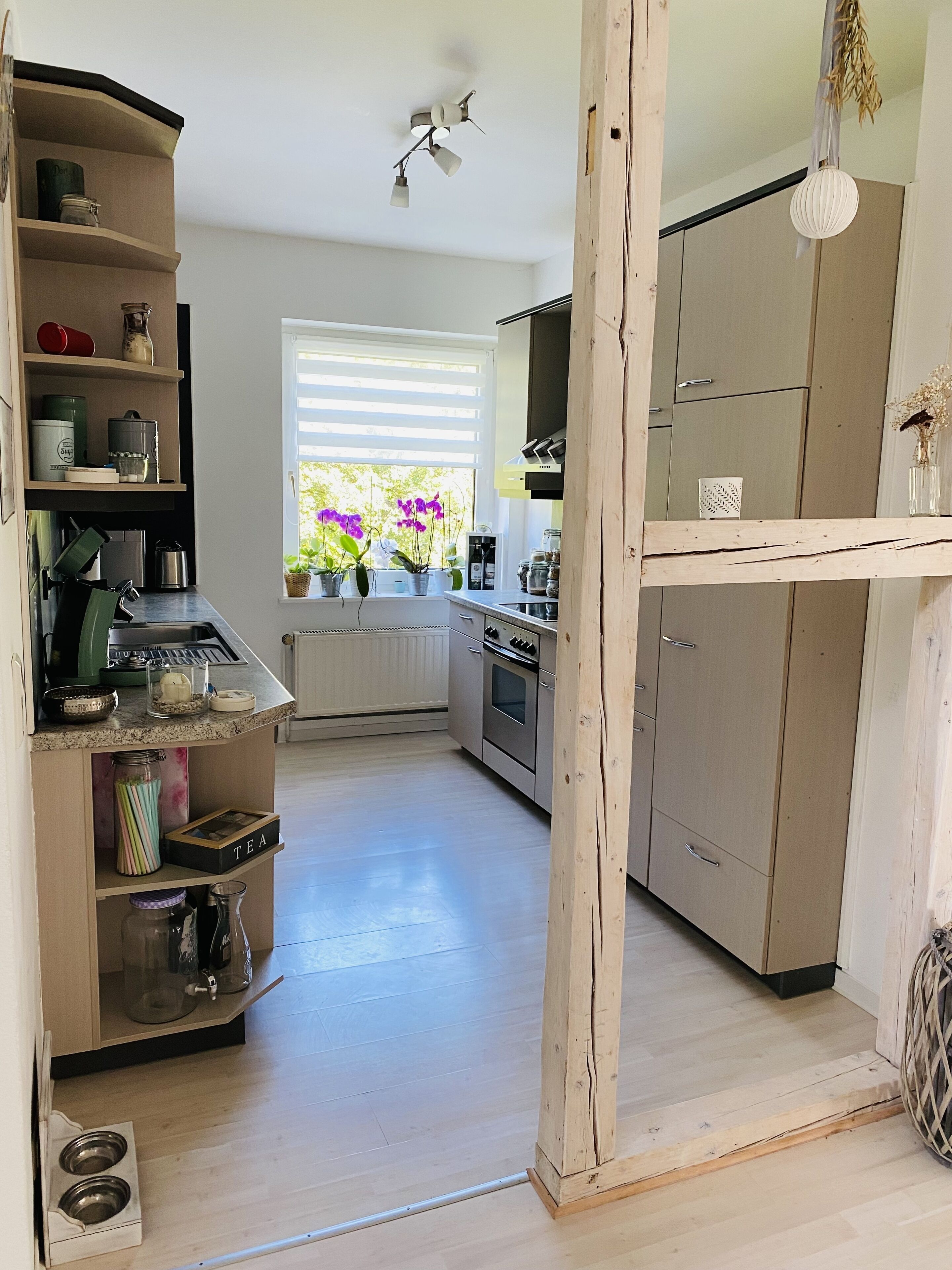 Kühlschrank, Ofen, Herdplatte, Geschirrspüler