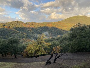 Miscellaneous - This house is no longer available for rent. (Júzcar)