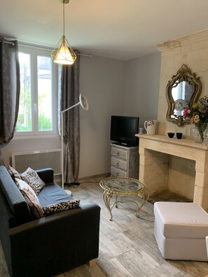 TV - Longère, small gîte in the heart of the Saint-Emilion vineyards  (Petit-Palais-et-Cornemps)