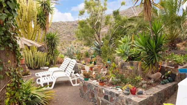 A garden with white lounge chairs, various cacti, and succulents. - Stunning home in Vallehermoso with WiFi (Vallehermoso)