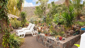 テラス / パティオ