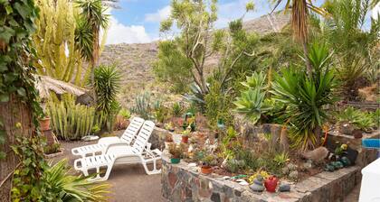 1 bedroom nice home in Vallehermoso