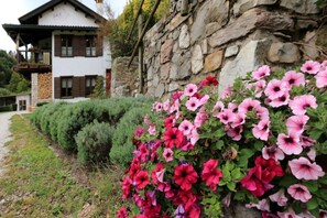 Exterior detail - TheDuck's CottageInTheDolomites (Feltre)