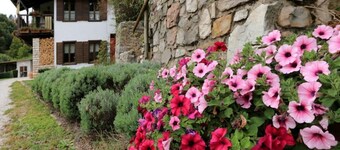 TheDuck's CottageInTheDolomites