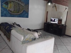 Televisión 