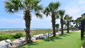 A well-maintained lawn with palm trees and a view of the beach.