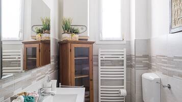 Shower, hair dryer, bidet, towels