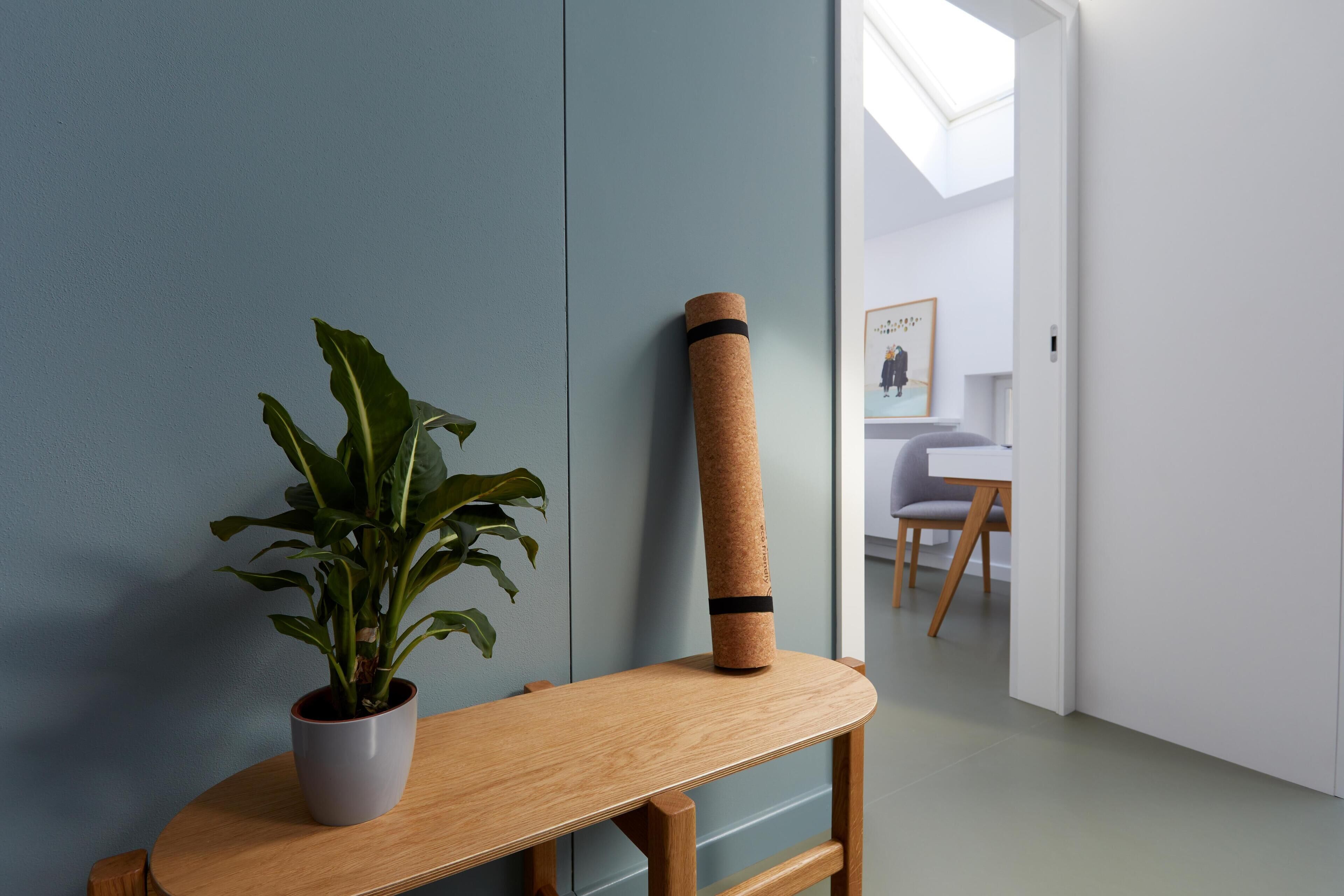 A room with a potted plant, a yoga mat, and a framed picture on the wall.