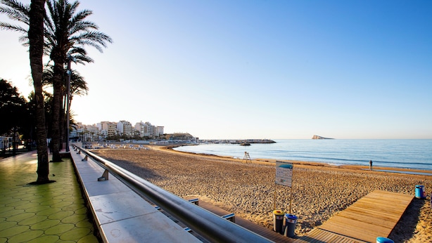 A beach with a wooden boardwalk, palm trees, and a clear sky. - Hotel Fleming Playa Poniente (Benidorm)