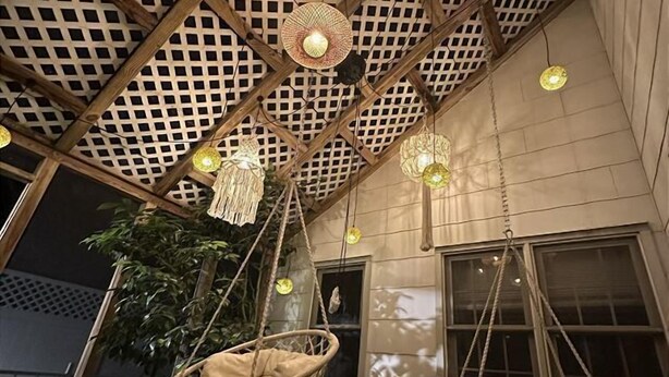A room with a lattice ceiling, hanging chairs, and a potted plant.