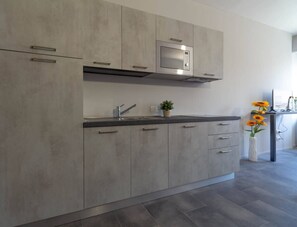 Fridge, microwave, stovetop, coffee/tea maker