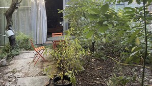 Ein Gartenbereich mit einem kleinen Tisch und Stühlen, einem Blumentopf und einem Baum.