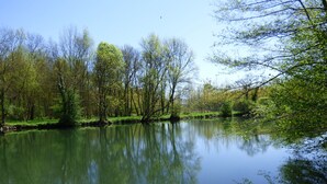 Un río tranquilo que refleja árboles y un cielo despejado.