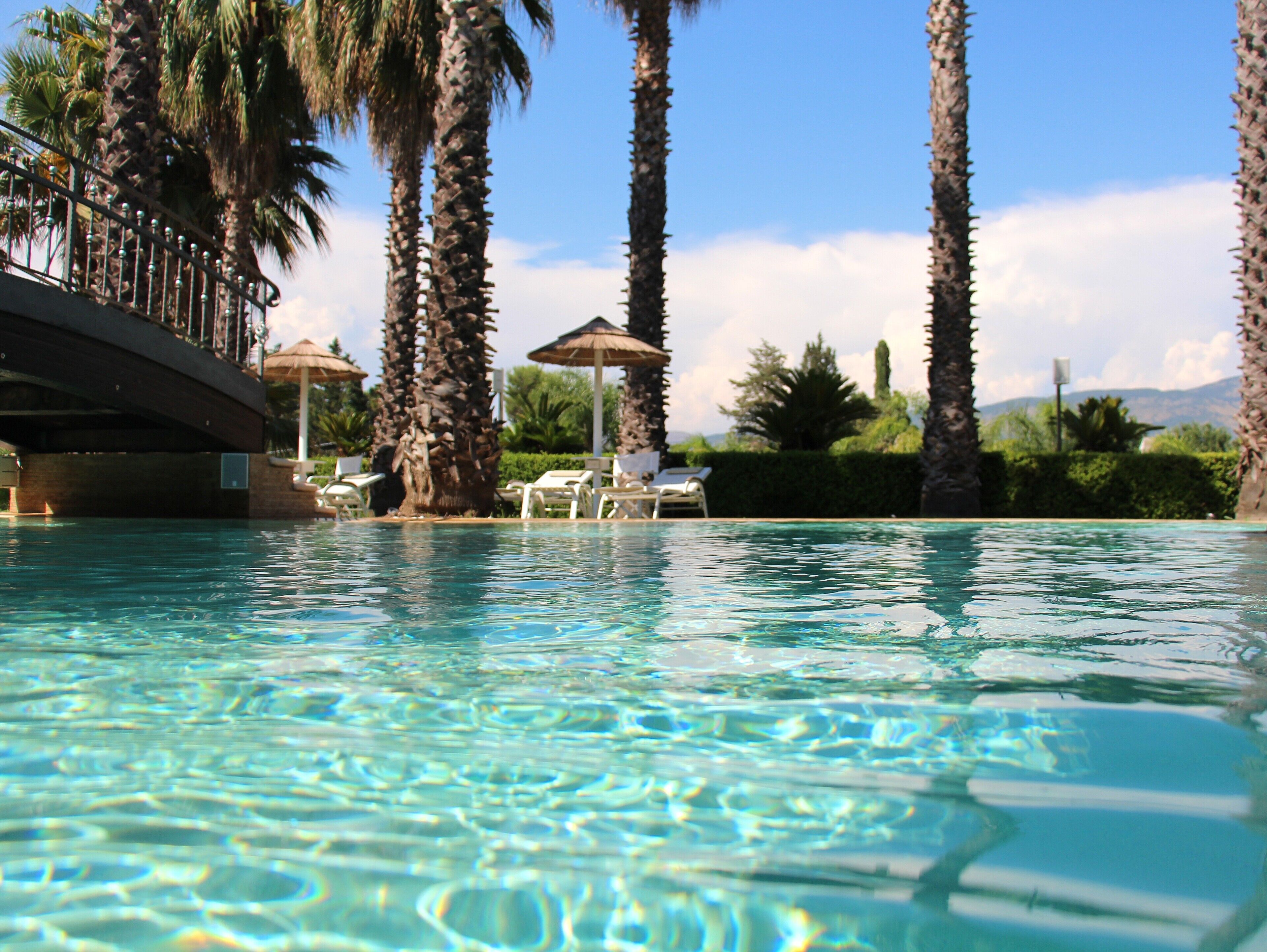 A clear swimming pool with lounge chairs and palm trees.