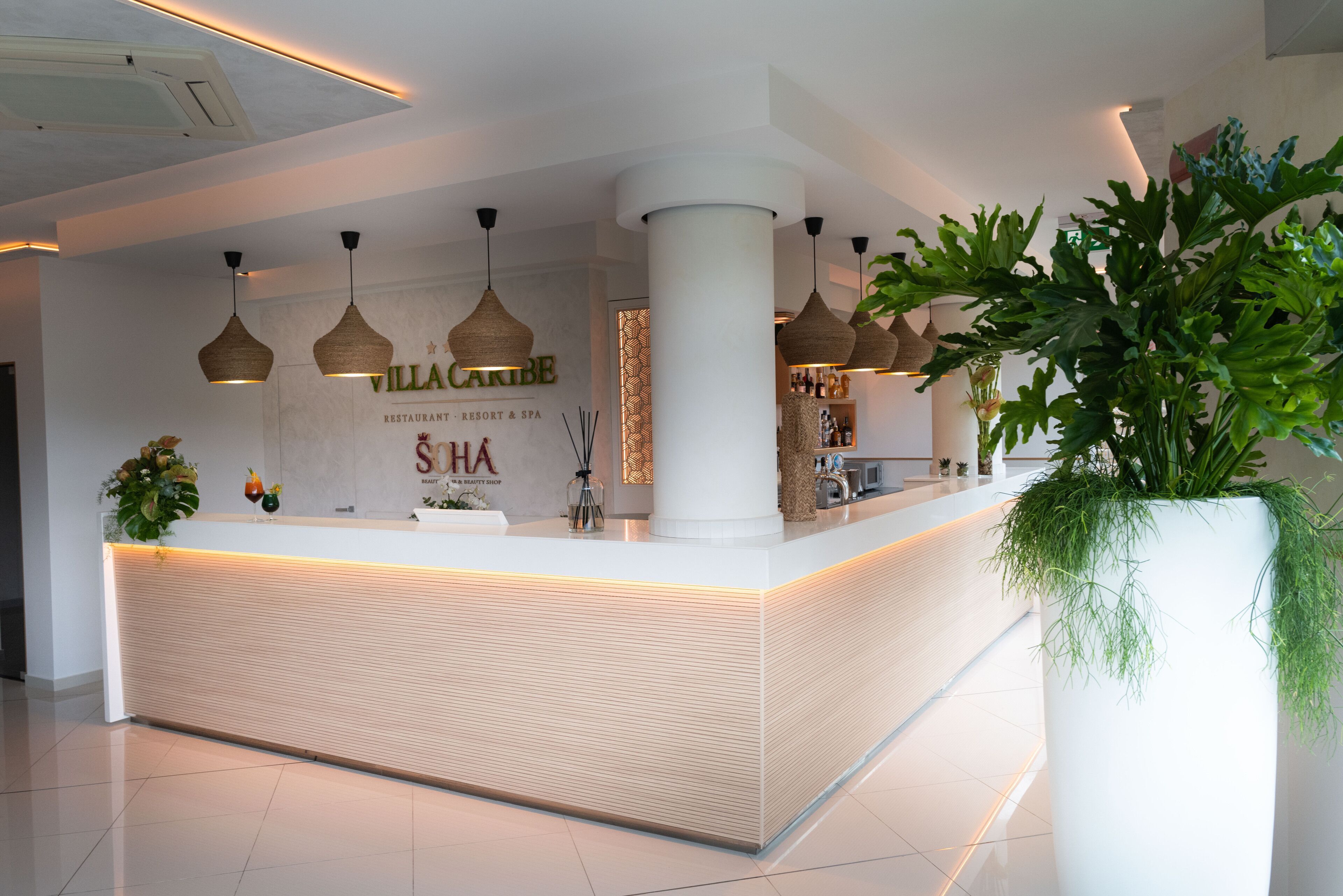 A modern reception area with a white reception desk, hanging wicker pendant lights, and a large potted plant.