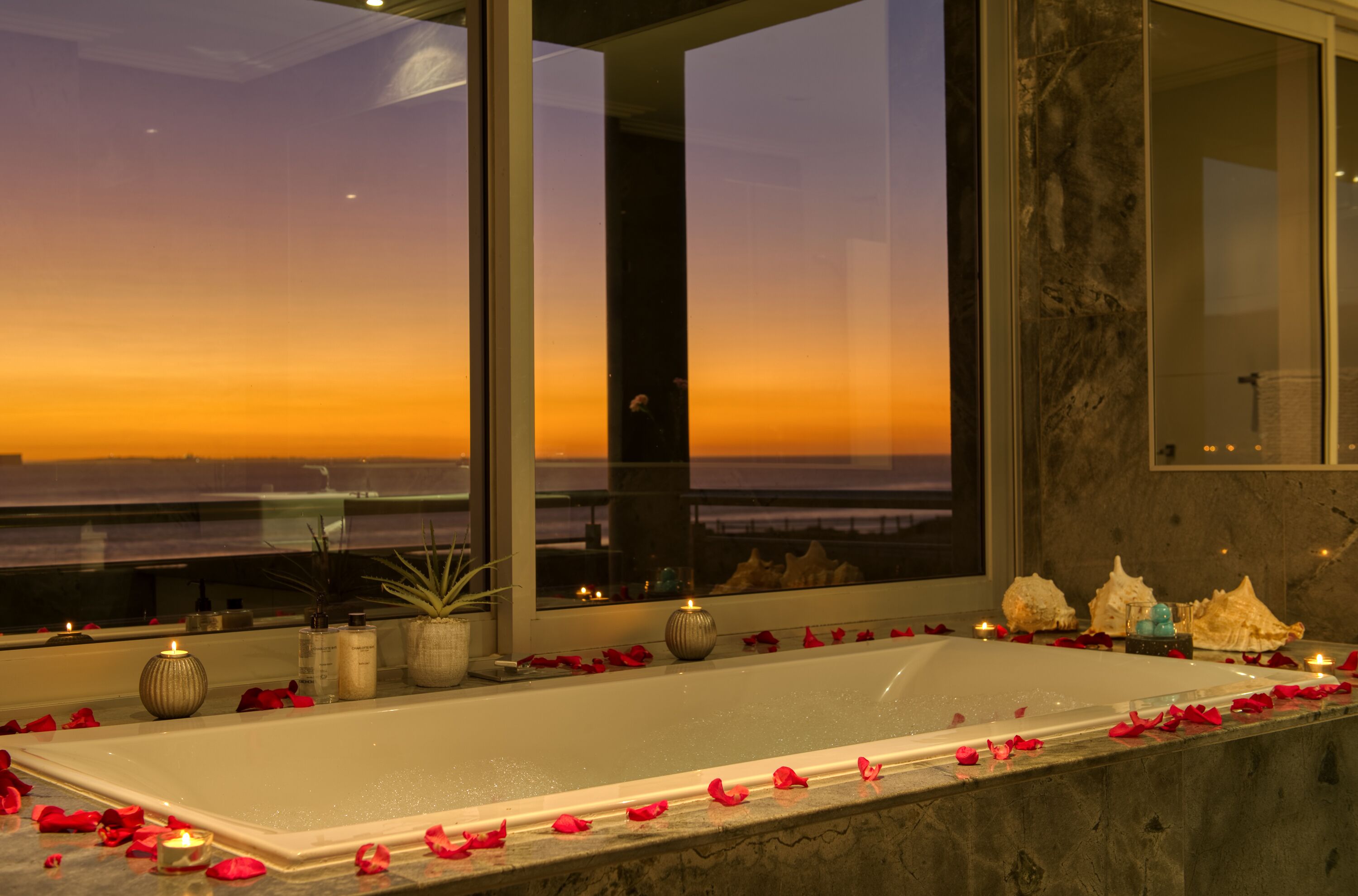 Foto - Atlantic Palms