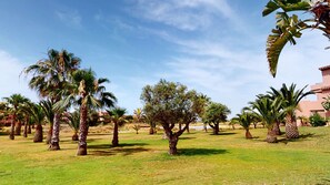 Àrea exterior de l'allotjament