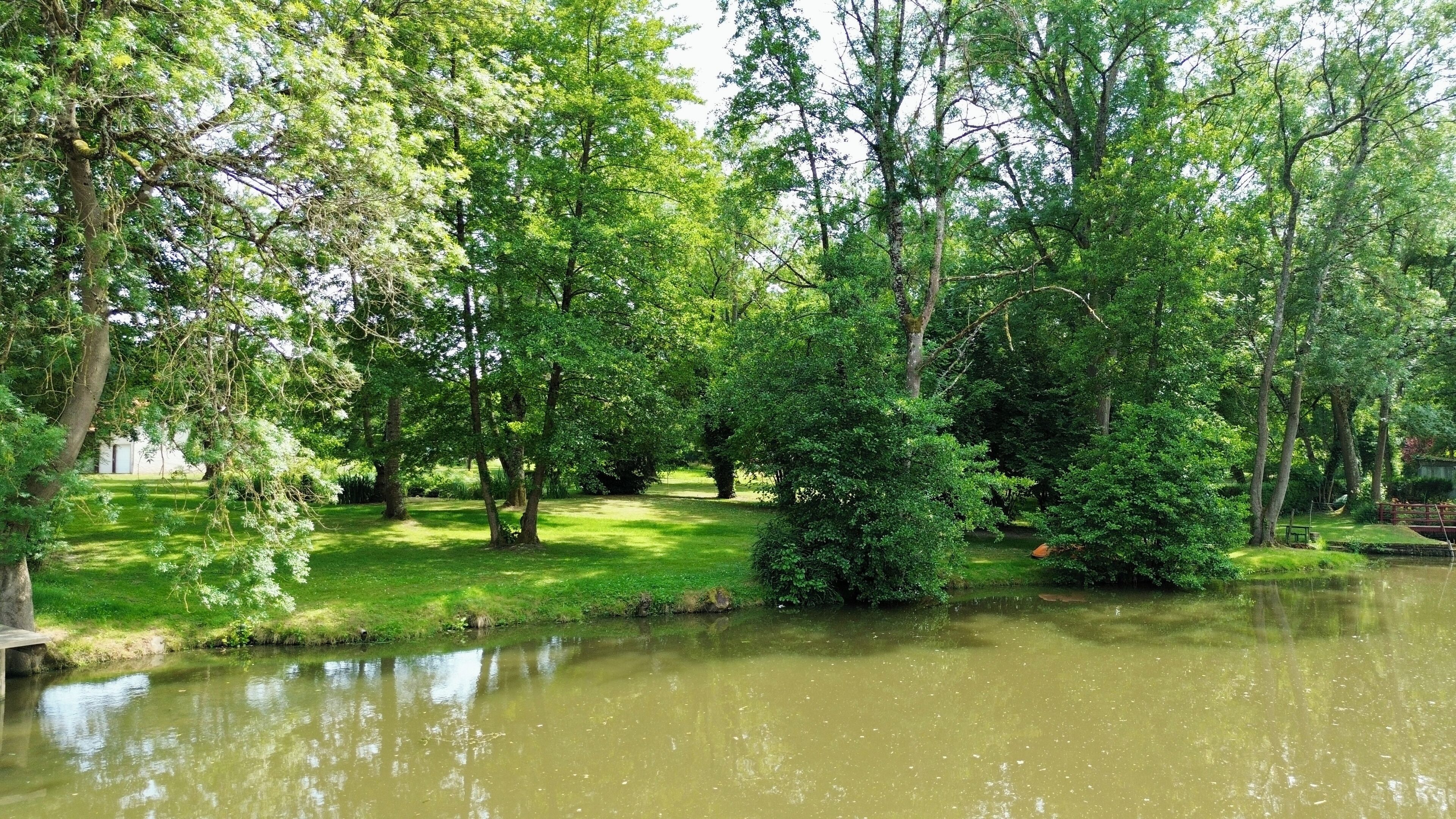 A serene park with a pond, lush greenery, and a wooden bridge.