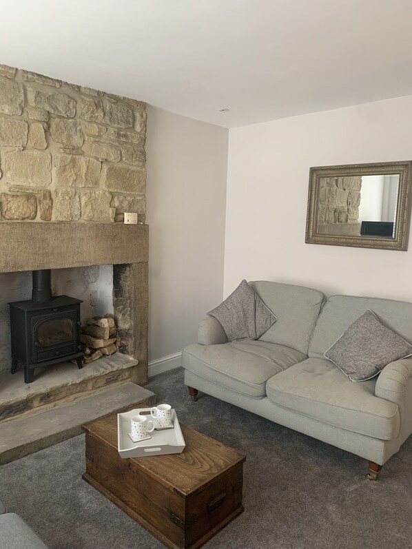 Smart TV, chimenea y libros 